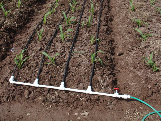 浙江厂家供pe管微孔滴灌渗水管用于大棚花园洒水农业灌溉沙漠绿化