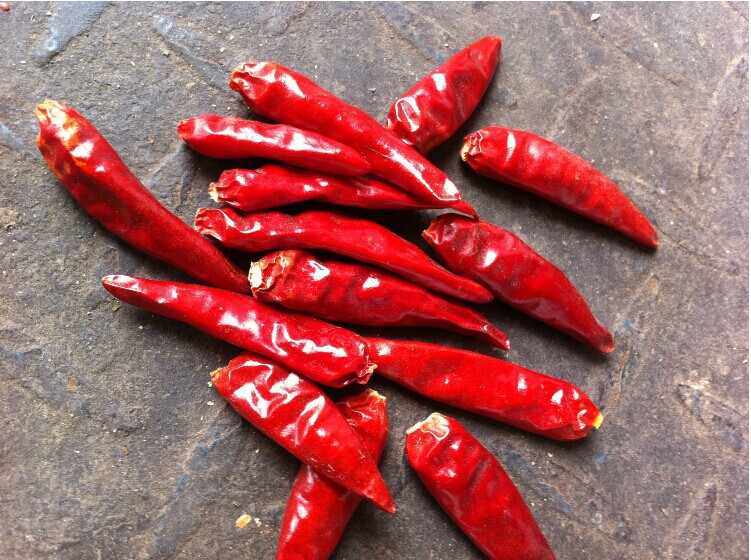 四川火锅底料中辣干辣椒 新一代辣椒 海椒 辣椒粉川菜调料