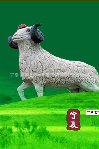 盐池塞上恒润滩羊肉滩羊肉批发盐池滩羊肉宁夏盐池滩羊