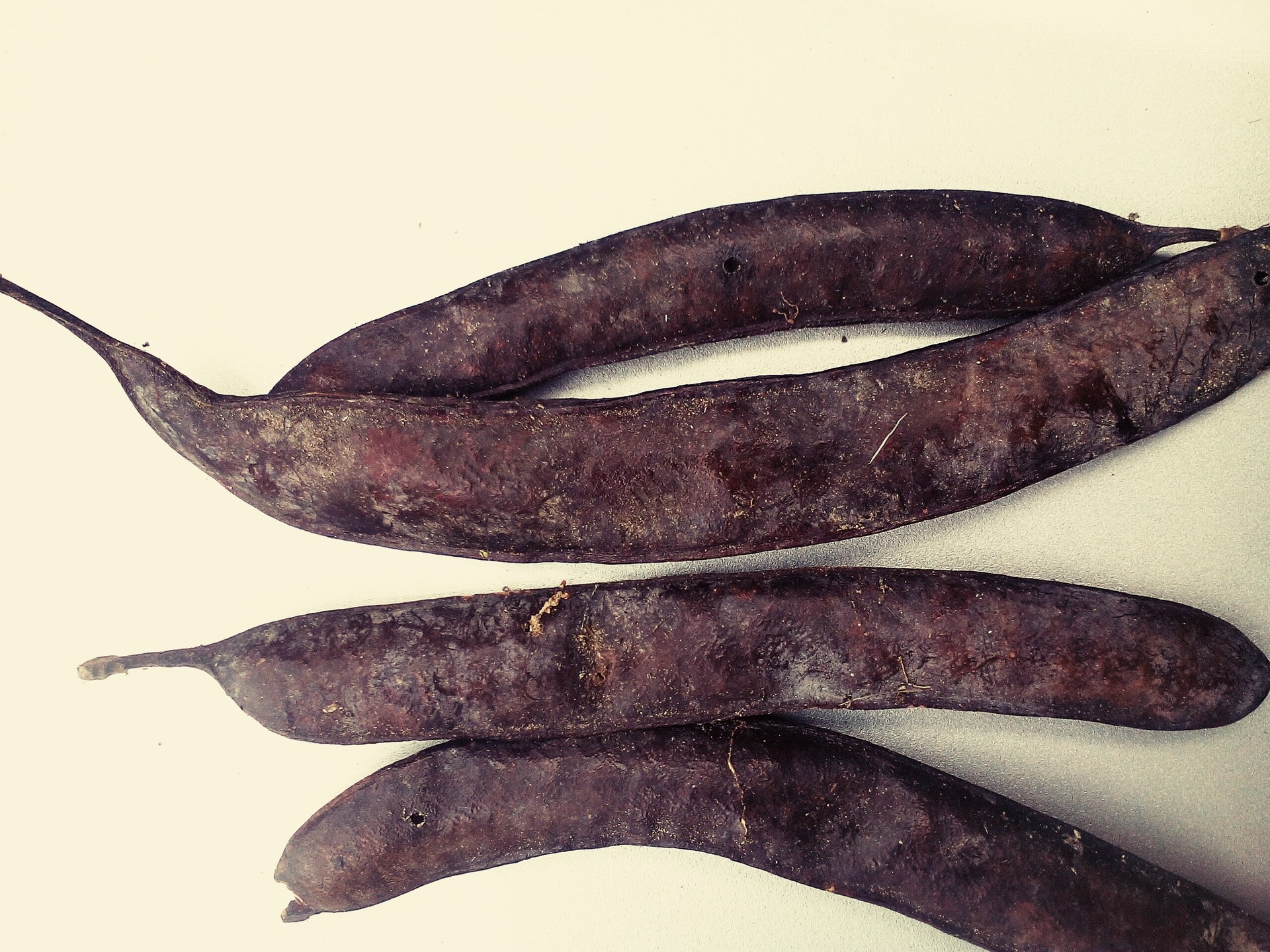 批发 大皂角 长皂角 中药皂荚护发洗发 皂角籽产地直销3千克包邮