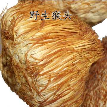 东北野生猴头菇 2斤起批 长白山蘑菇 菌类 批发绿色珍品-阿里巴巴