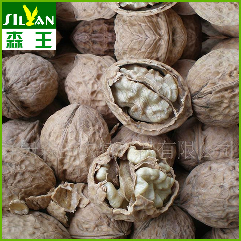 【纸皮核桃多少钱一斤】_纸皮核桃多少钱一斤