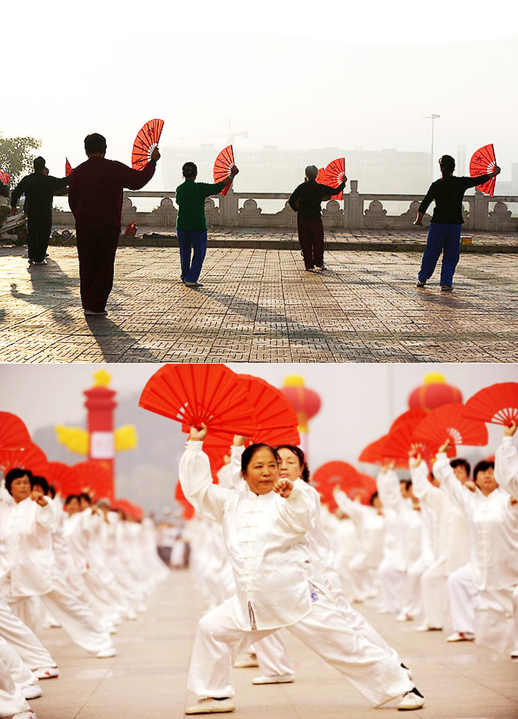 沈广隆太极扇 正宗竹骨绸缎1尺2 太极扇 功夫扇 武术表演扇