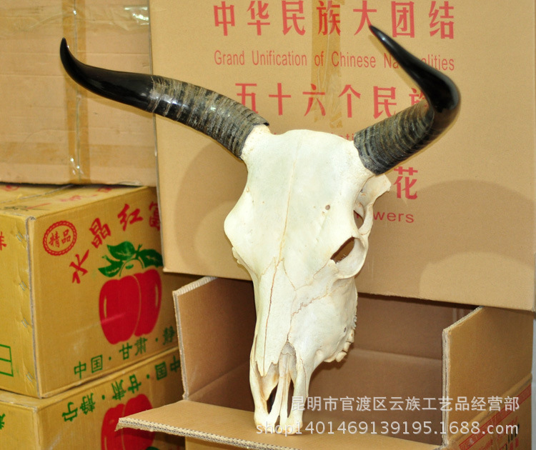 藏族墙挂饰牦牛头 天然牦牛头骨工艺品 牛头羊头装饰品
