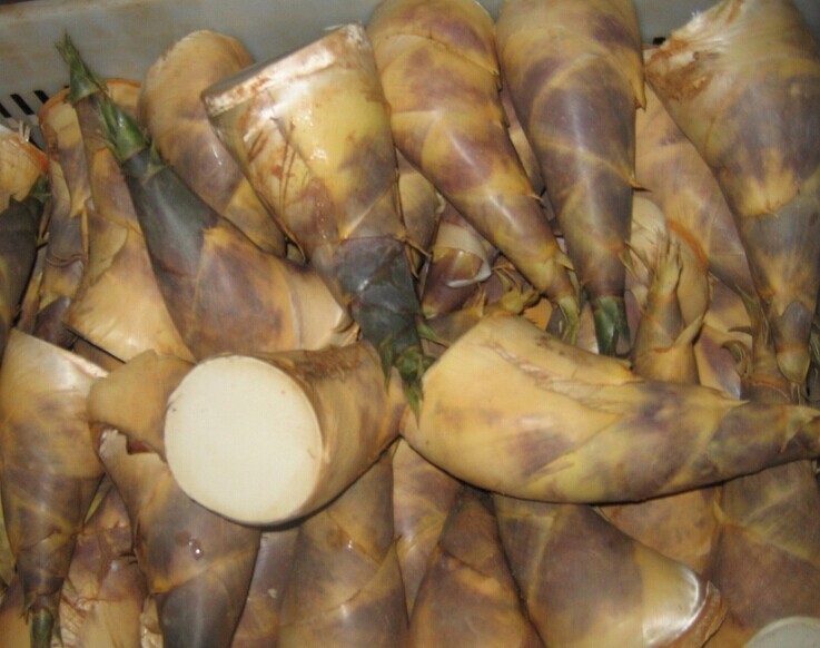 福建笋干批发零售黄田马蹄笋干笋干厂家优质笋干