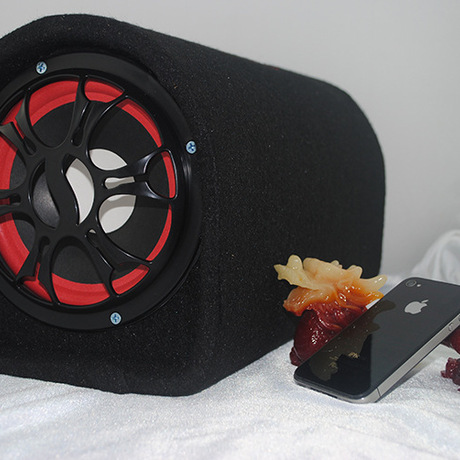 5寸隧道形车载低音炮百猫摩托车12v/24v220v隧道低音炮汽车音响