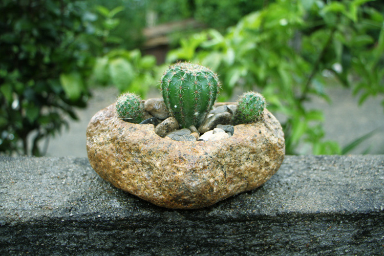 迷你家居摆件多肉石花盆天然石头diy园艺创意厂家