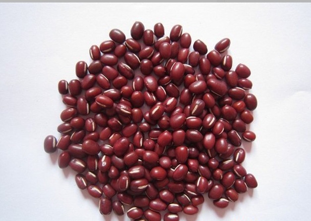 产品展示:赤小豆(学名:vigna umbellata),又名赤豆,红饭豆,饭豆,蛋白