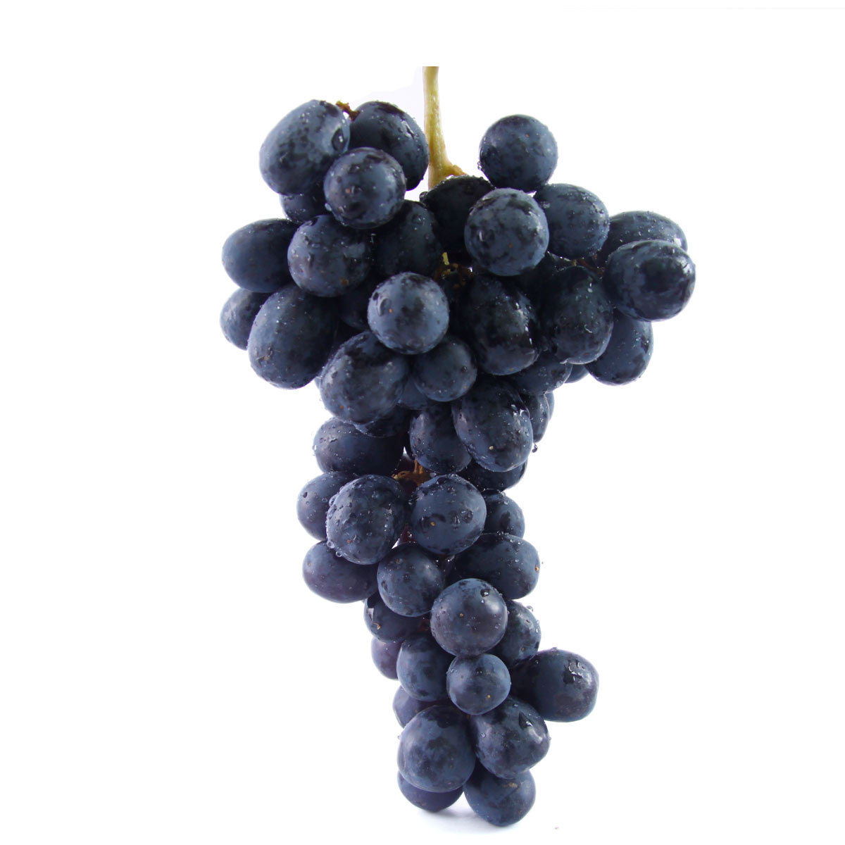 精选新鲜黑加仑葡萄 黑提子 水果批发 水果团购 - 食品饮料批发交易网