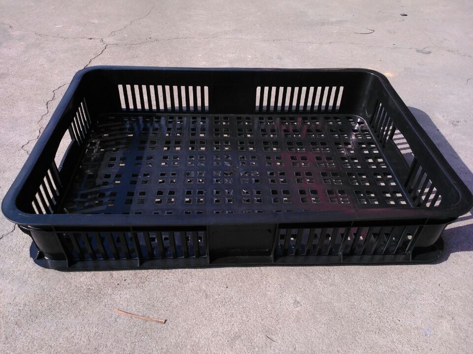 黑色新料塑料周转箩 菜苗用漏水胶筐 周转用蔬果筐 黑色超市筐