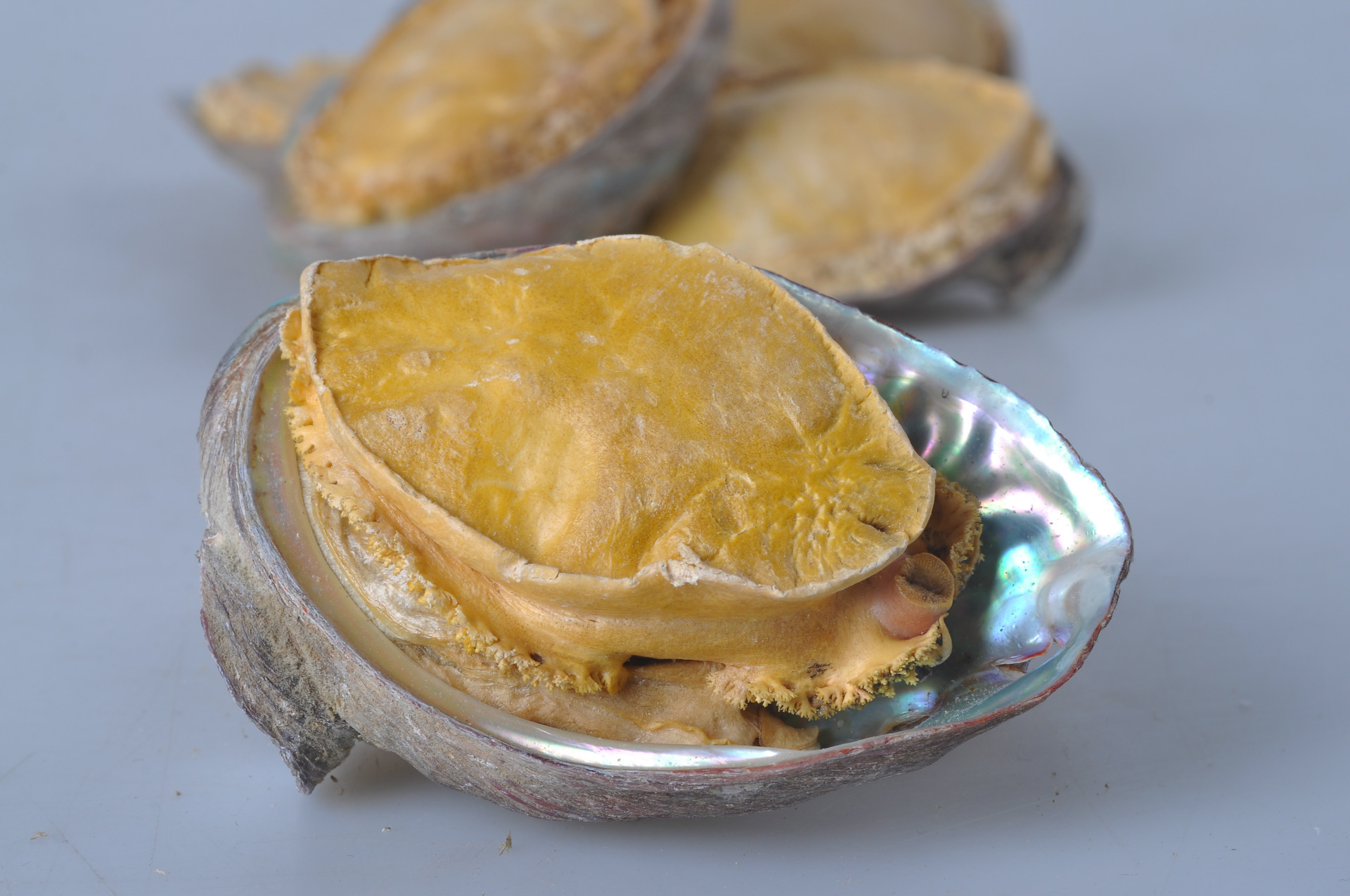 【海珍坊】冻干鲍鱼 野生鲍鱼批发