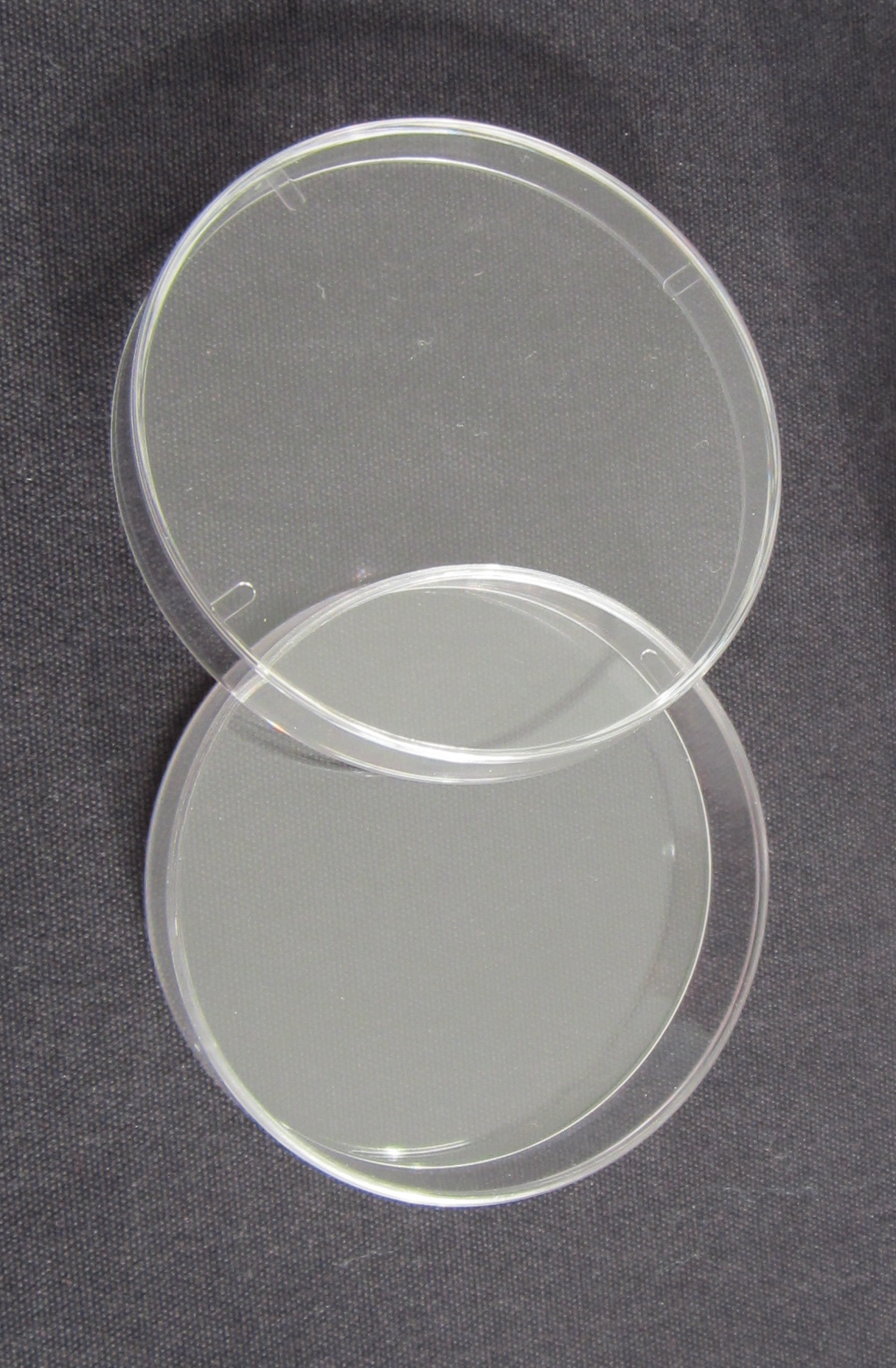 金田培养皿塑料培养皿90mm60mm重复多次性使用培养皿