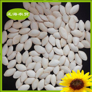 西葫芦籽图片_西葫芦籽图片大全 - 阿里巴巴海