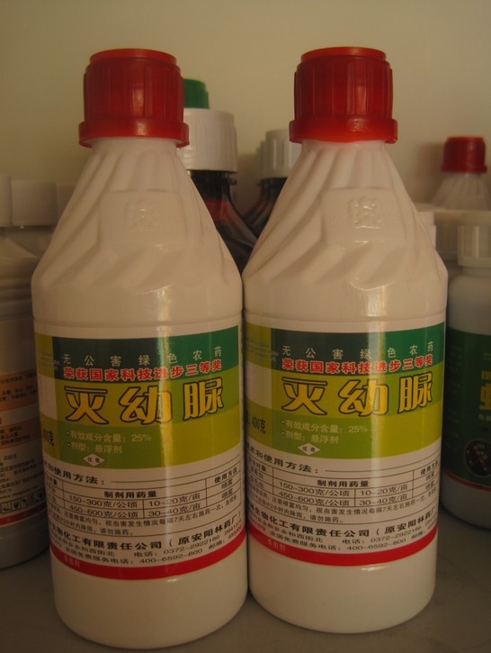 北京可青丽新园林绿化有限公司