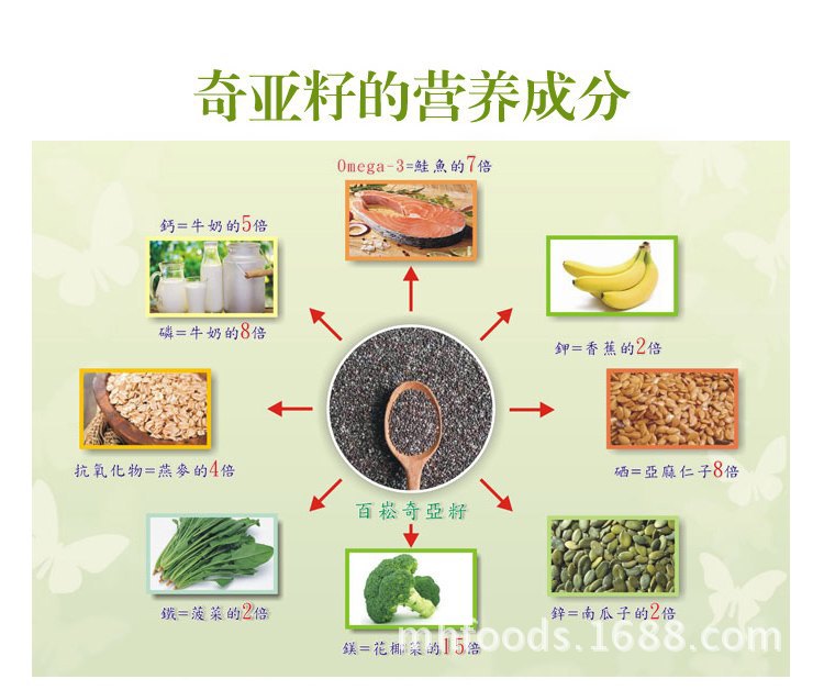供应奇亚籽 chia seed奇异子 鼠尾草籽 奇亚子批发