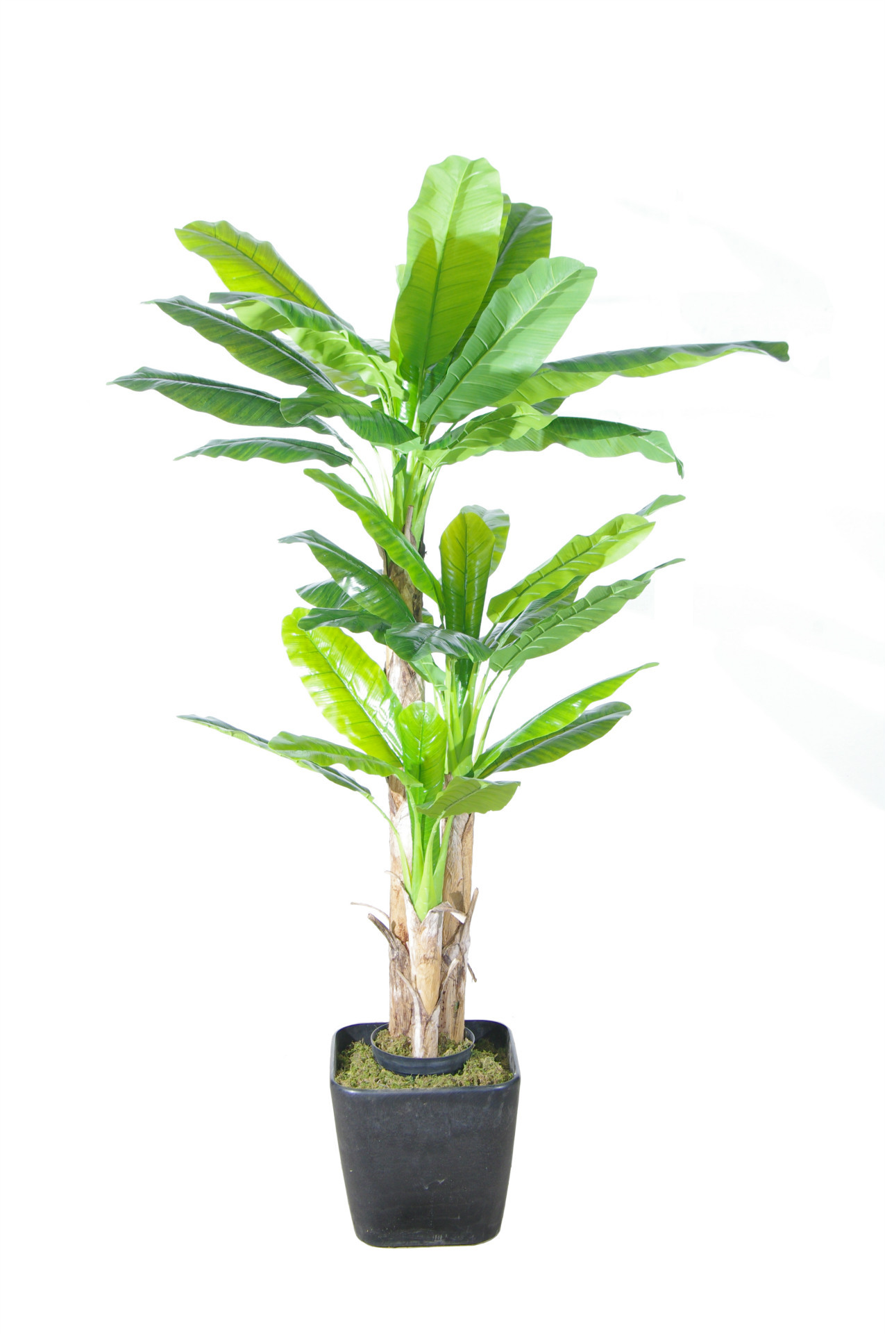 绿色仿真植物大芭蕉 盆栽爆款 招财进宝 家居装饰 家居卖场最爱