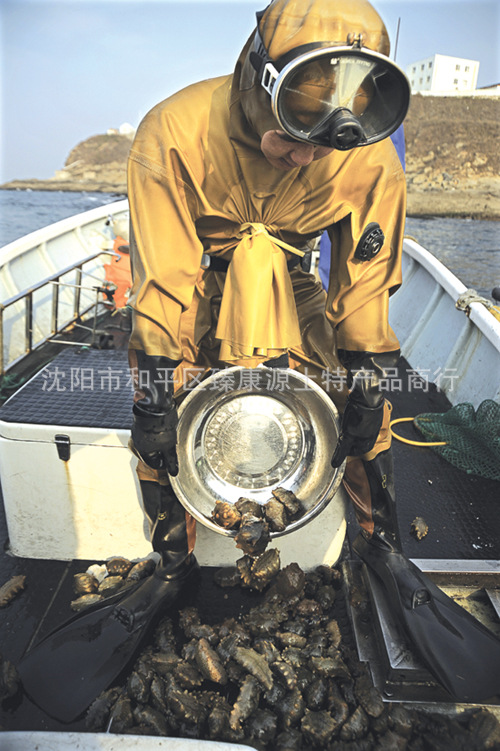 捕捞海参的俄罗斯渔民