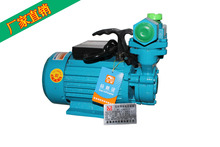 厂家ZDB 370w单相铜线自吸泵 家用清水自吸泵 微型自吸泵自吸水泵