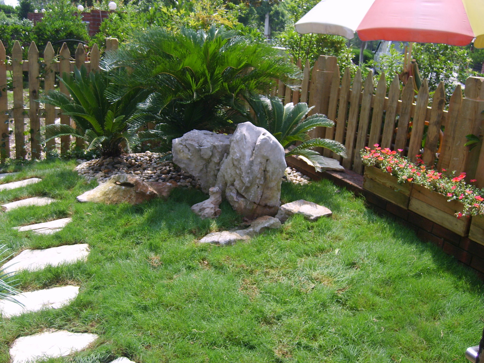 绿蓉花卉各种草坪盆栽大型植物室外绿化盆景景观绿植花卉树木种植