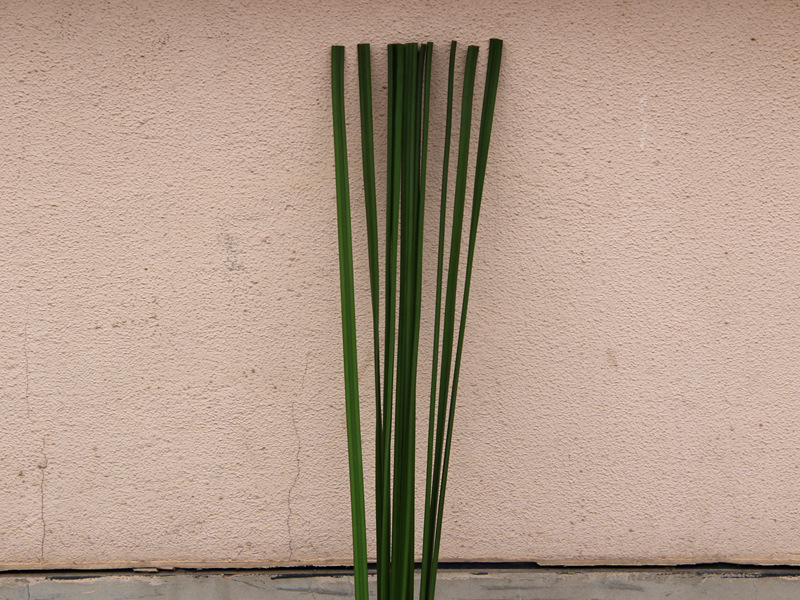 仿真花11片水蜡烛叶蒲叶假花家居装饰拍戏婚庆花卉植物盆栽花