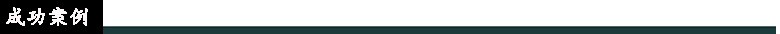 成功案例