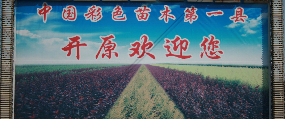 苗木第一县