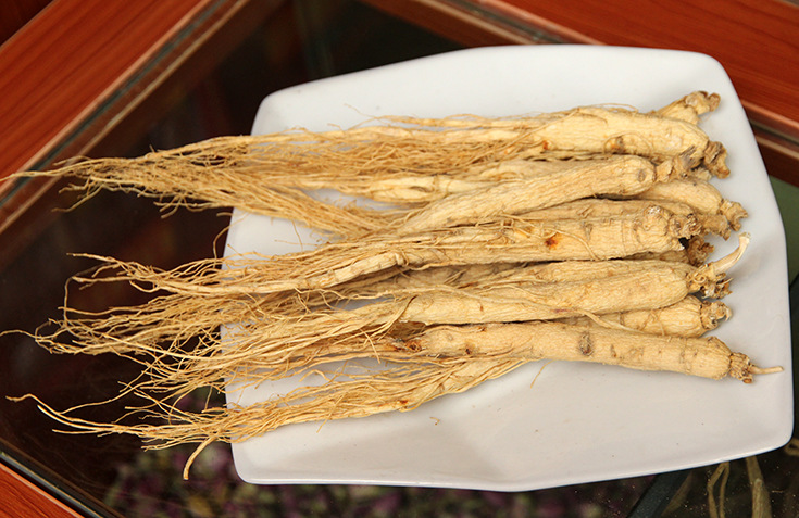 中药材批发 白参大个白参 大补元气补气疗虚 品质保证