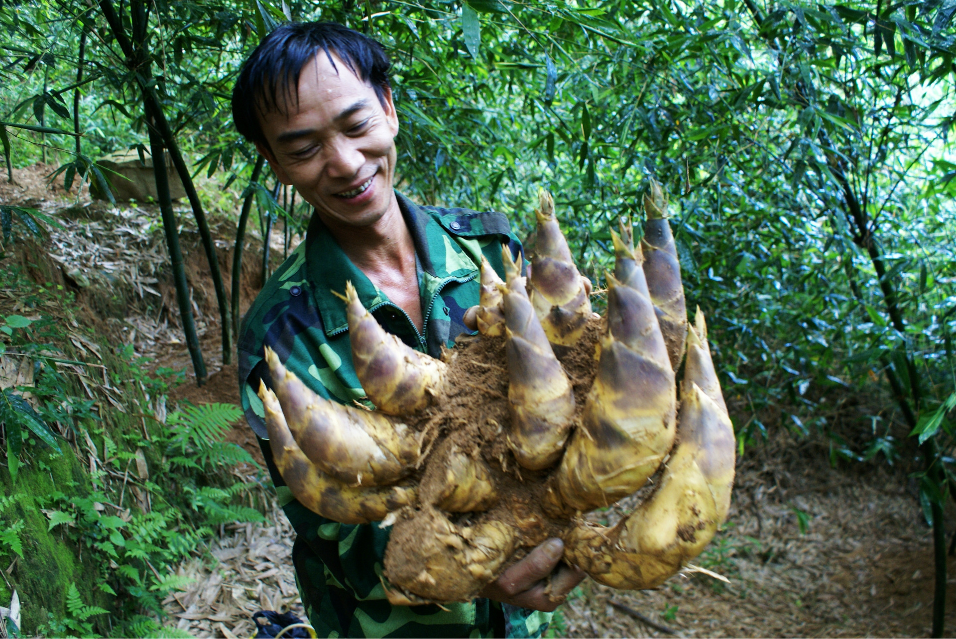 厂价直销纯天然无污染清水绿竹笋马蹄笋20500g