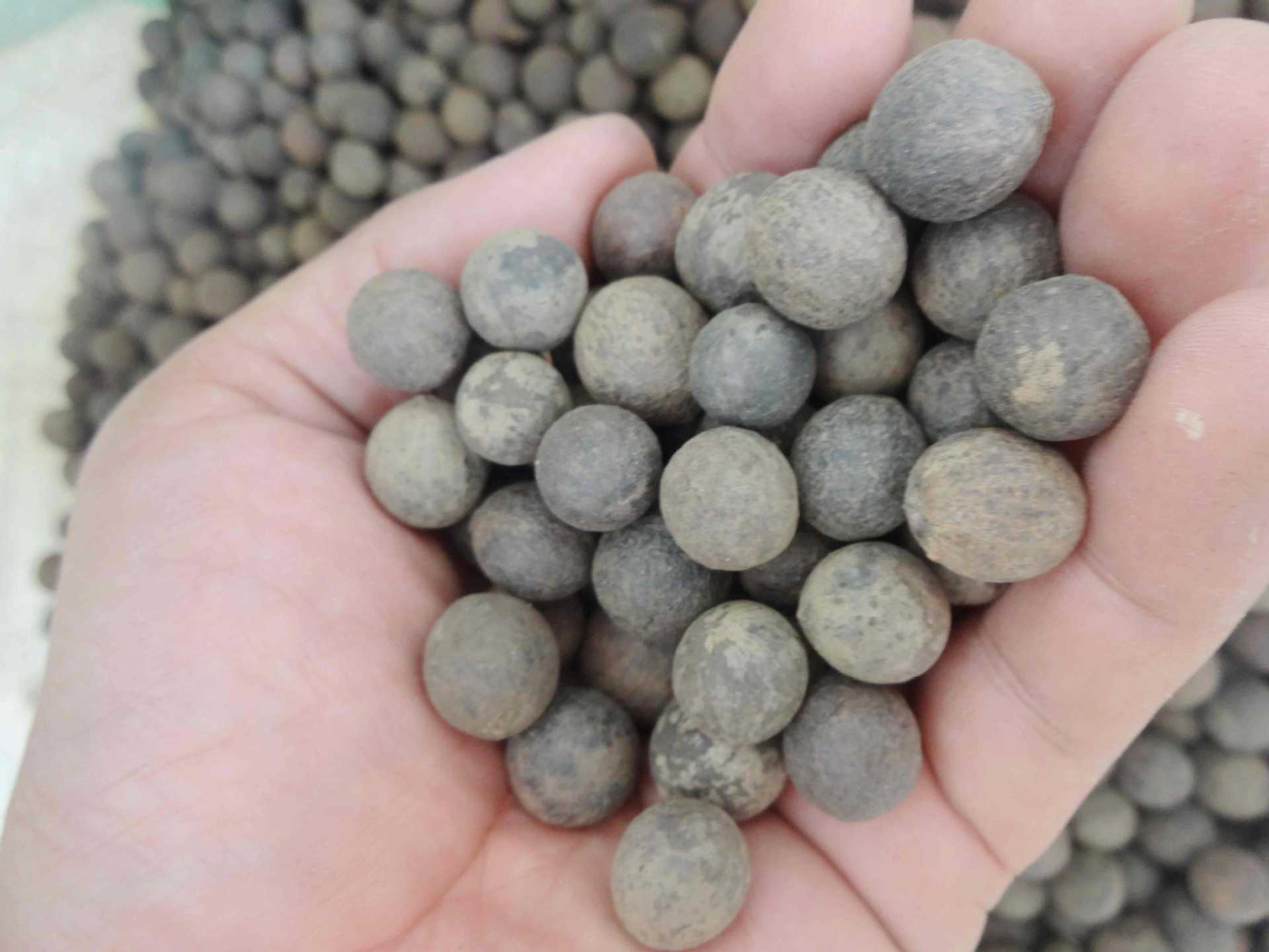 印度尼西亚菩提根原籽批量出售尺寸在13到15左右量大从