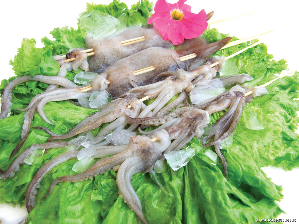 冷冻鱿鱼_供应 冷冻烧烤鱿鱼 新鲜冷冻大鱿鱼批发 100%纯天然 - 阿里巴巴