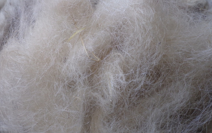 常年现货供应牦牛绒 牛绒 白牦牛绒 黑牦牛绒 纺织纺纱用品 - 纺织材