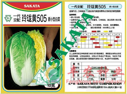 胶研夏秋王白菜种子耐热耐高温早熟高产夏末早秋夏秋季大白菜种孑