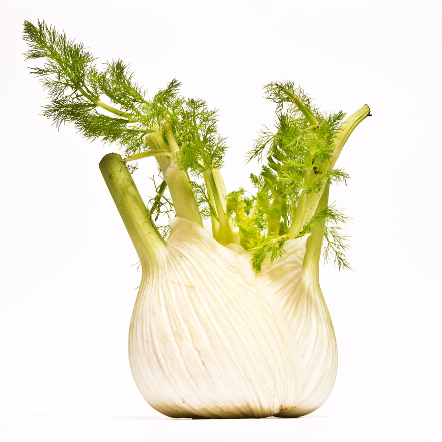 纯茴香精油fennel oil 进口单方精油 essential oil 广州批发商