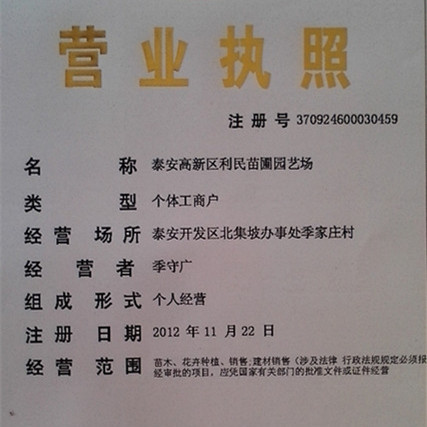 美德莱特草莓苗 优质品种 量大从优