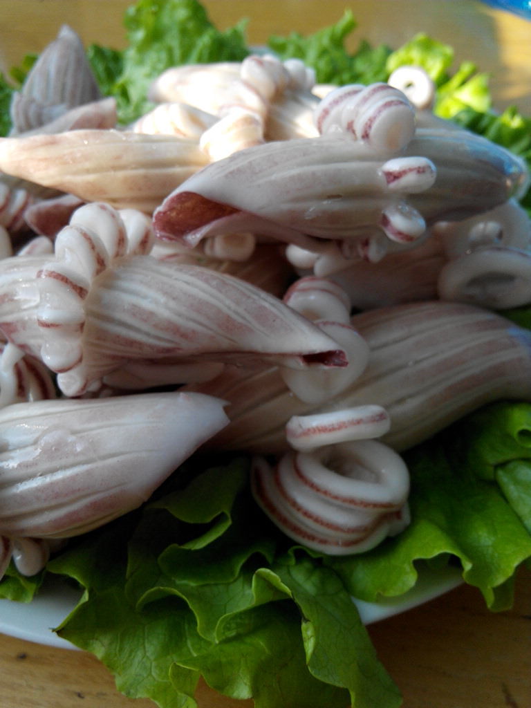 威海特产 爽脆原汁牛角花牛尾花 水产品质保证 海产品加工