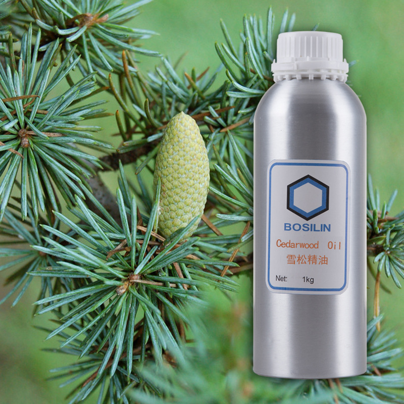 供应雪松精油b 单方精油原料供应商 雪松精油