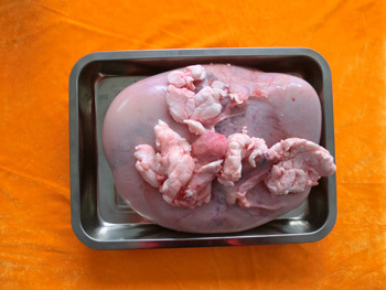 瑞宏鹿业 批发梅花鹿鹿血胎 干鹿胎 鲜鹿胎 鹿胎盘 鹿依