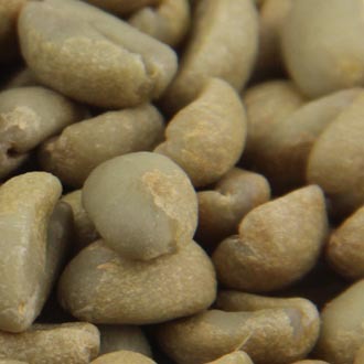 供应埃塞俄比亚 吉玛g-3 全手选精品-日晒咖啡生豆