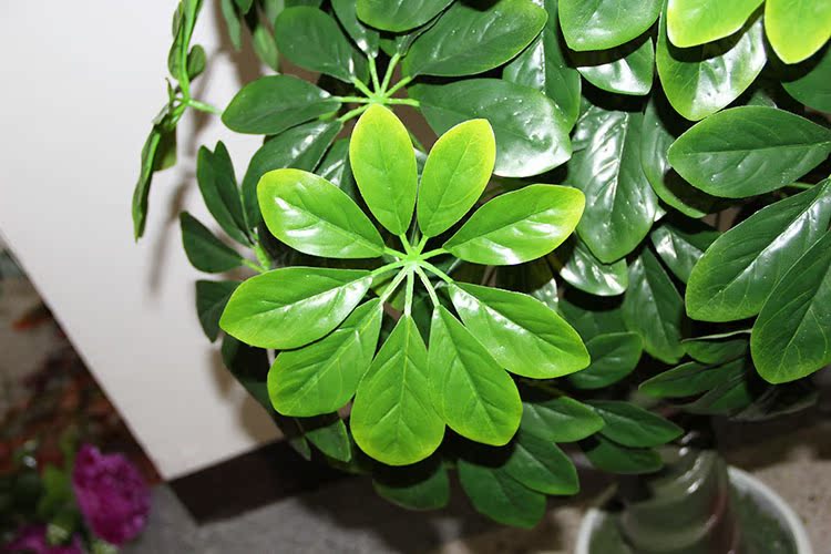 九星叶发财树 假植物树 中型仿真观赏植物 仿真发财树厂家批发-茉莉花