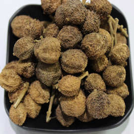 阳春春砂仁_阳春春砂仁价格_优质阳春春砂仁