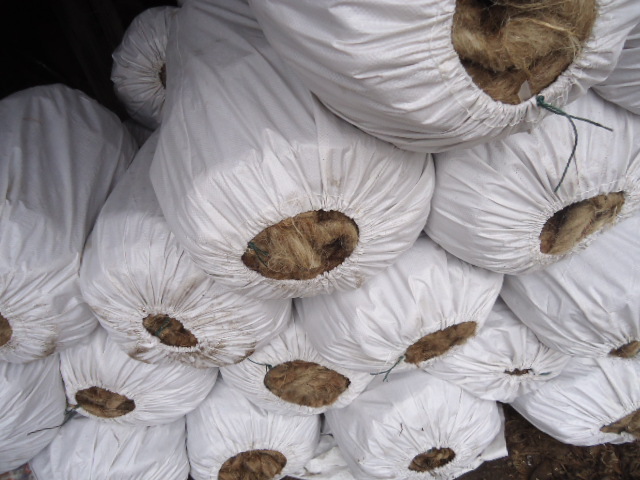 供应油麻丝 环保 多种规格