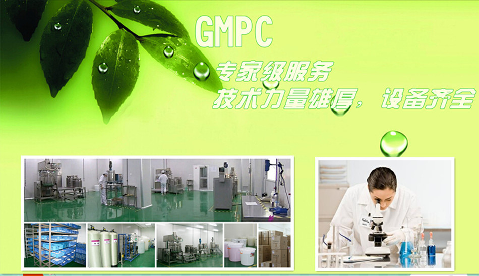 背景_副本GMPC