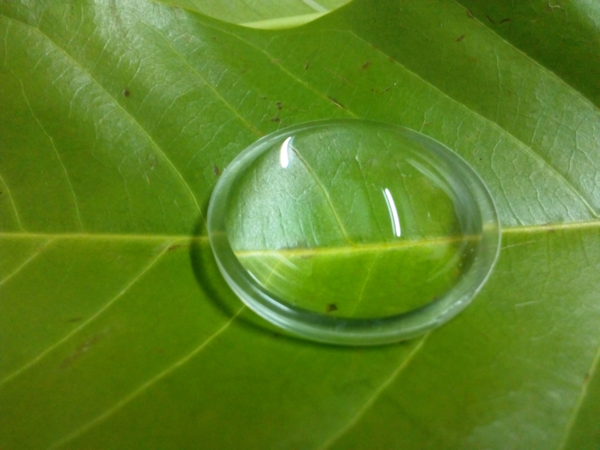 供应直径38mm平凸透镜 高度10mm 手电筒镜片 深圳