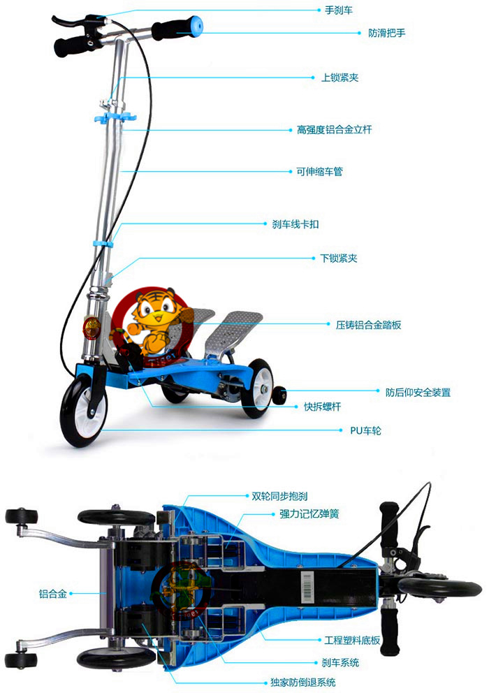 145型蓝色立体和底部示图
