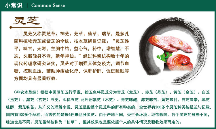 酒泡灵芝作用与功效_灵芝酒功效_中华医药李淑珍泡灵芝杜仲酒实插