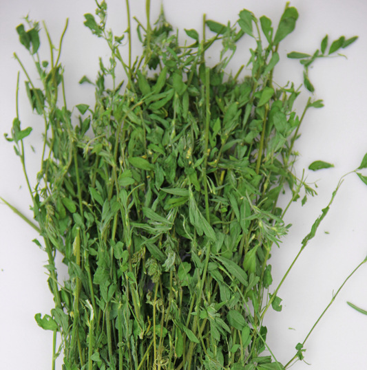 16年新草 宠物箱装 苜蓿草 兔子草 毛重1kg 12箱全国包邮