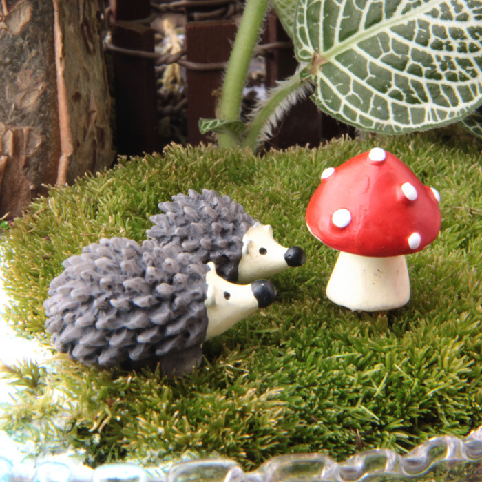 Three-Piece Set Combination Hedgehog Mushroom Micro Bonsai Succulent Ornaments Garden Decorations Micro Landscape Pot Gardening Ornaments