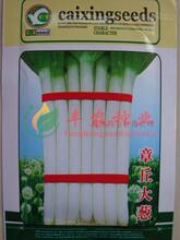 章丘大葱葱种价格_今日最新章丘大葱葱种价格