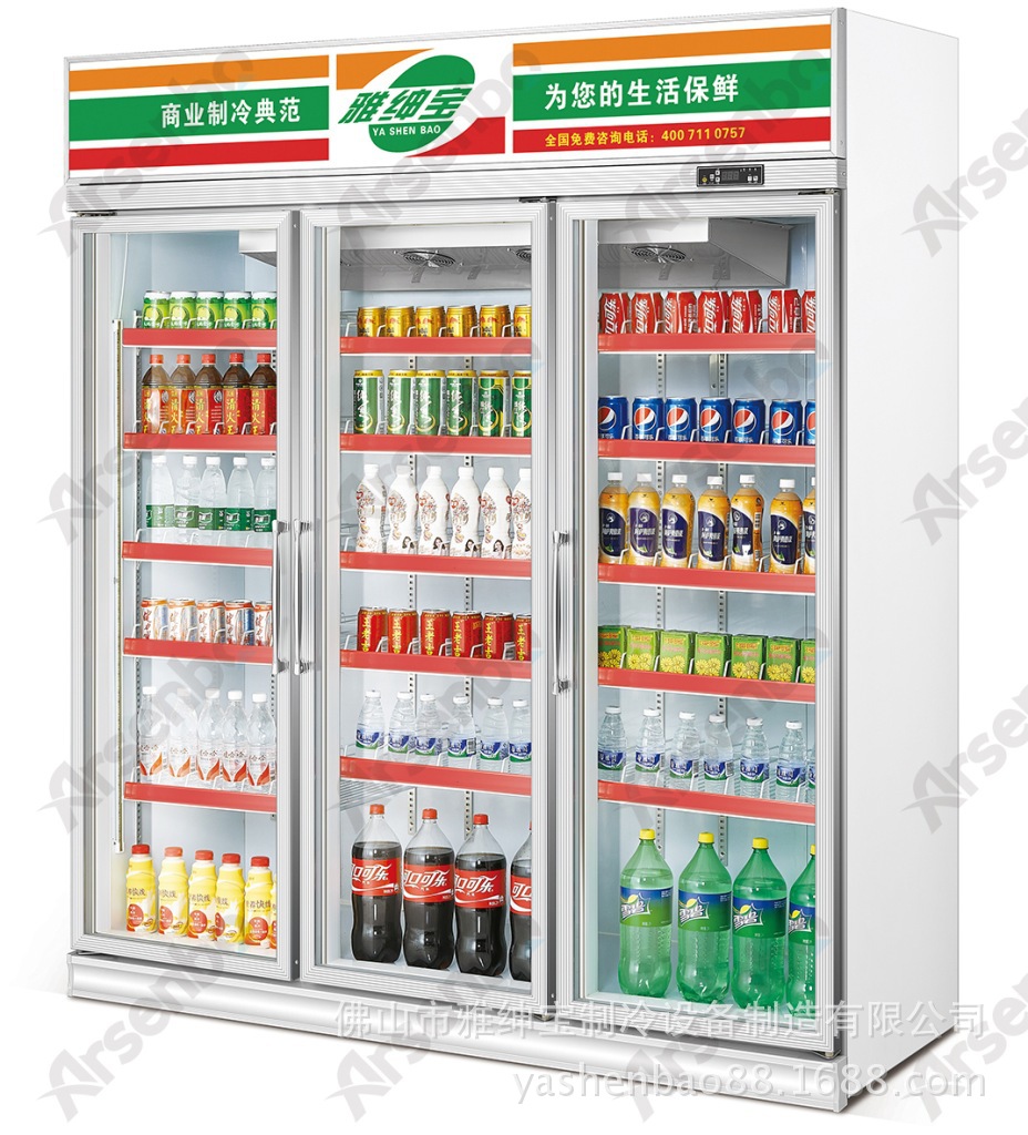 惠州哪里有冰柜卖 雅绅宝冷柜厂家  三门冰箱 三门水柜