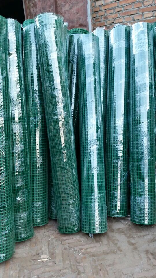 厂家供应优质pvc电焊网 j浸塑电焊网(特殊规格来电加工)